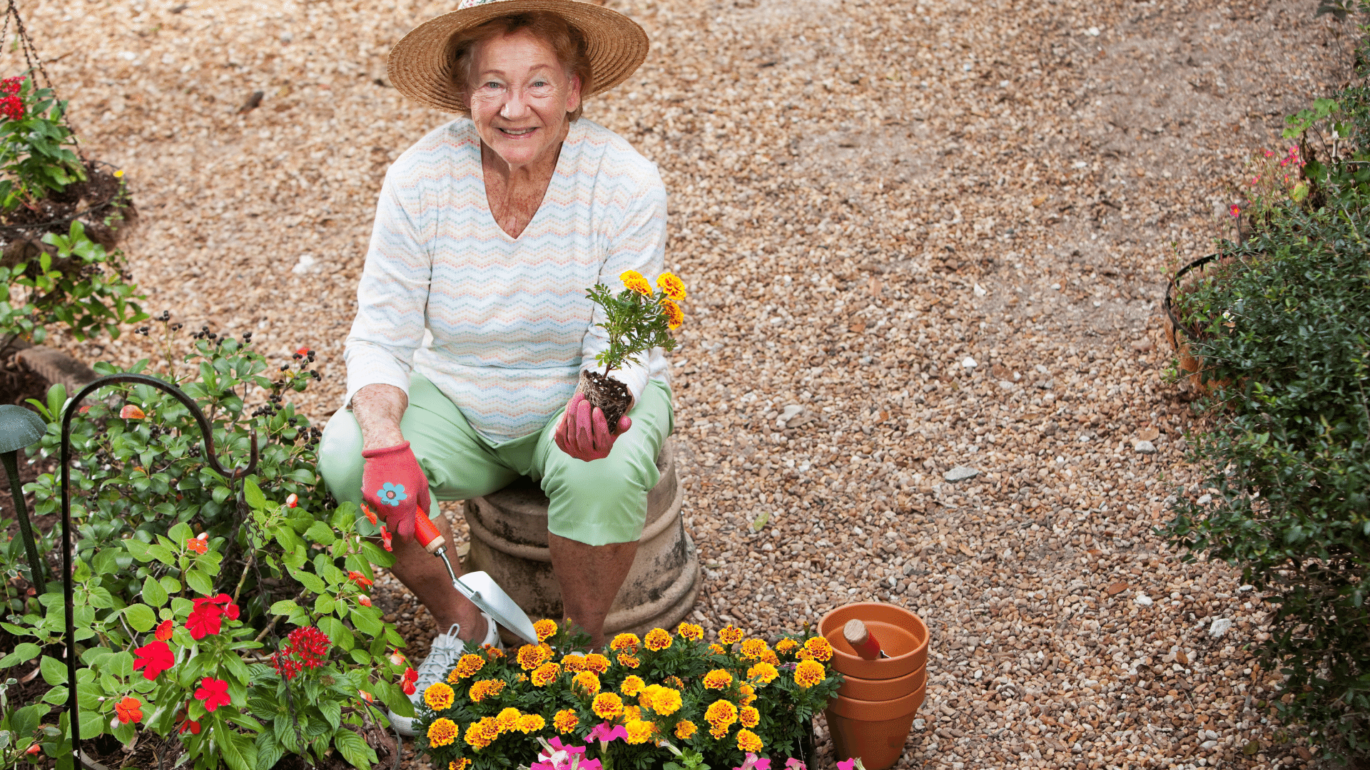 10 Hobbies to Keep Seniors Mentally and Physically Active at Home ...